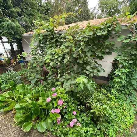 Chardas Отель типа 