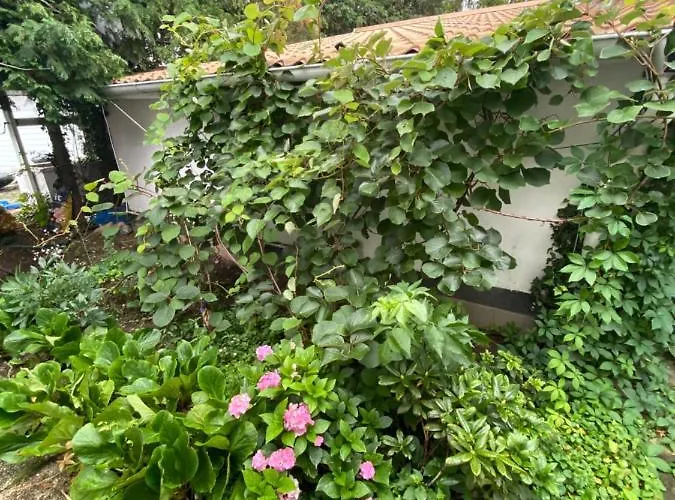 Chardas فندق مبيت وإفطار