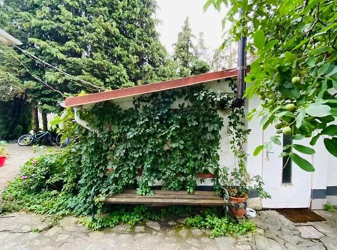 Chardas B&B Bük